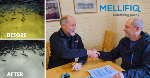 Mellifiq commissions complete treatment for aquaculture