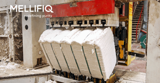 Paper process in a a pulp indsutry