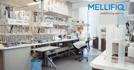 LEading finnish university