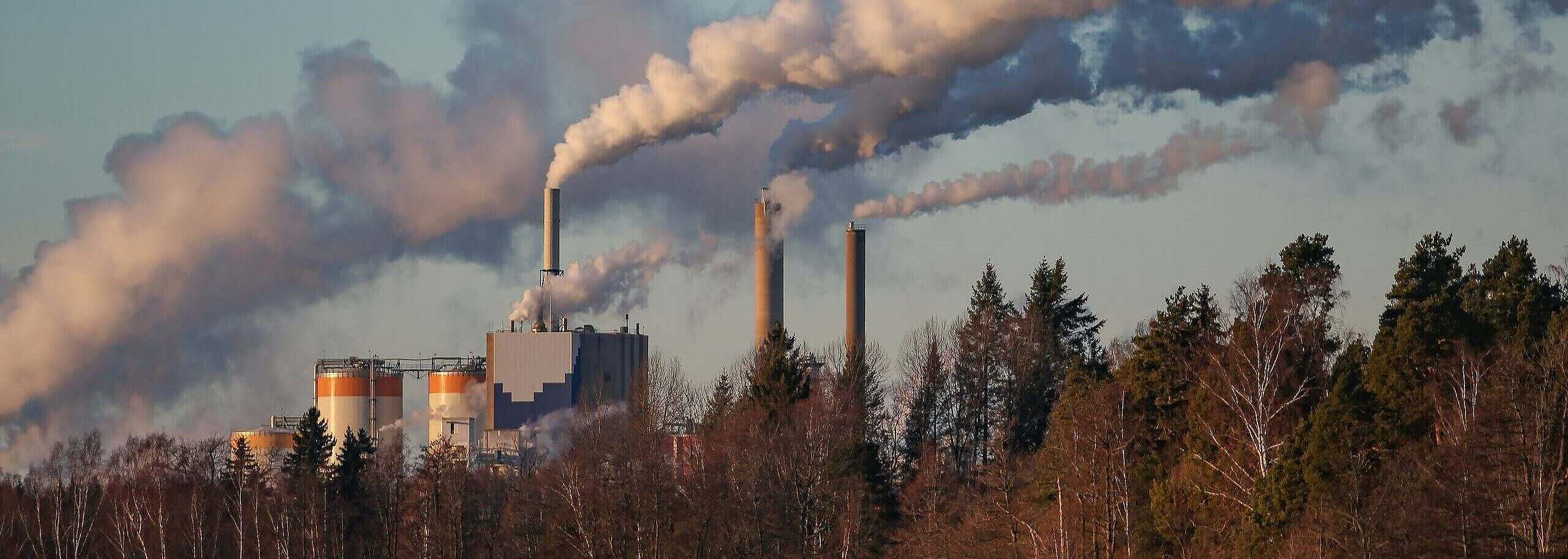 Pulp and paper industry