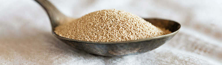 Dry yeast - melifiq