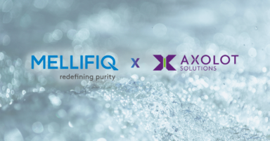 Mellifiq and Axolot